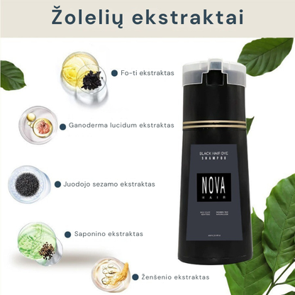 Momentinis plaukus dažantis, spalvą atstatantis šampūnas